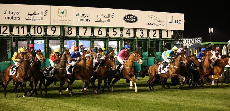 Meydan Racecourse seating plan